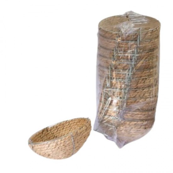 NINHO DE CURIO ESPECIAL