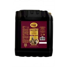 9381 - SHAMPOO PET CEREJA E AVELA 20 LITROS